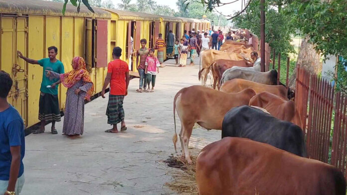 আজ ঢাকায় আসবে ‘ক্যাটল স্পেশাল ট্রেন’